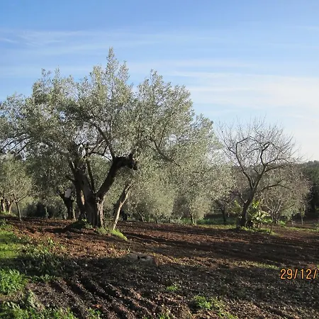 Дом отдыха Quinta Do Monte Em Монкарапашу